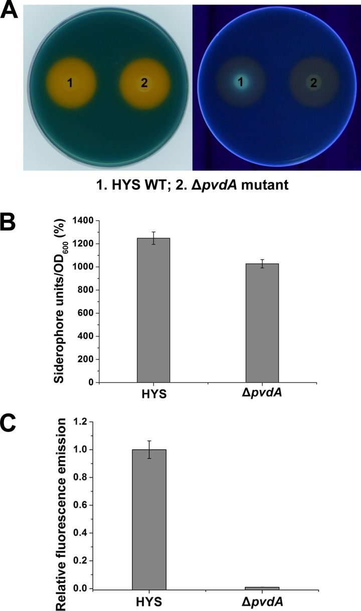 FIG 2