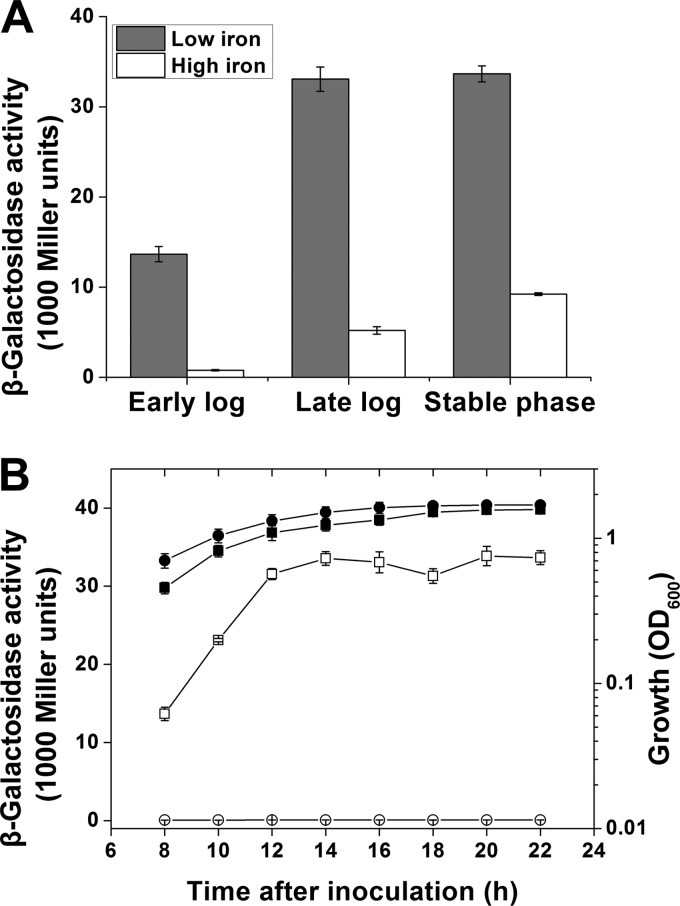 FIG 7