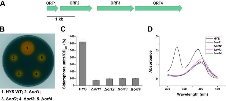 FIG 5