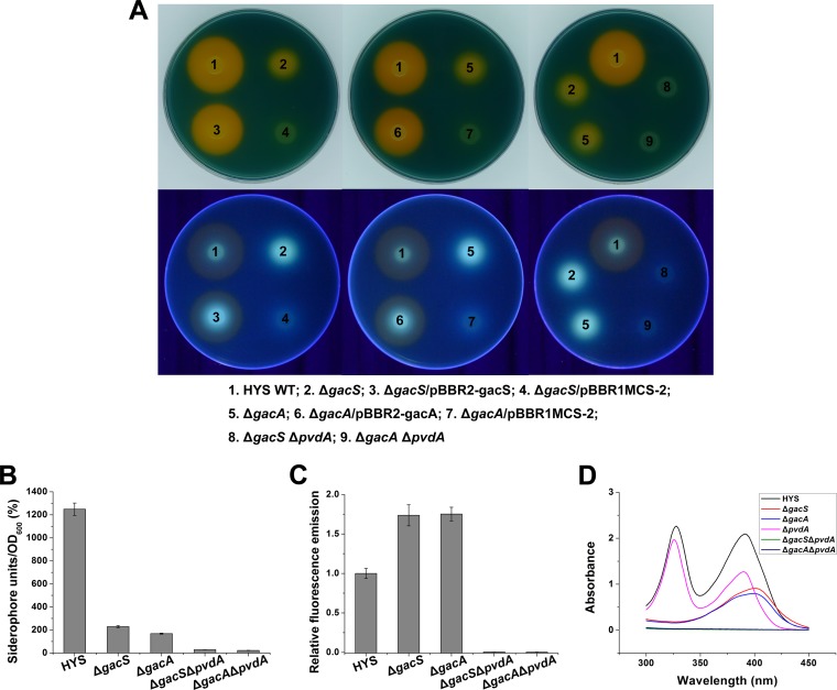 FIG 3