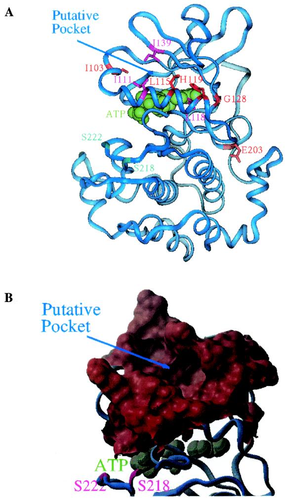 FIG.5.