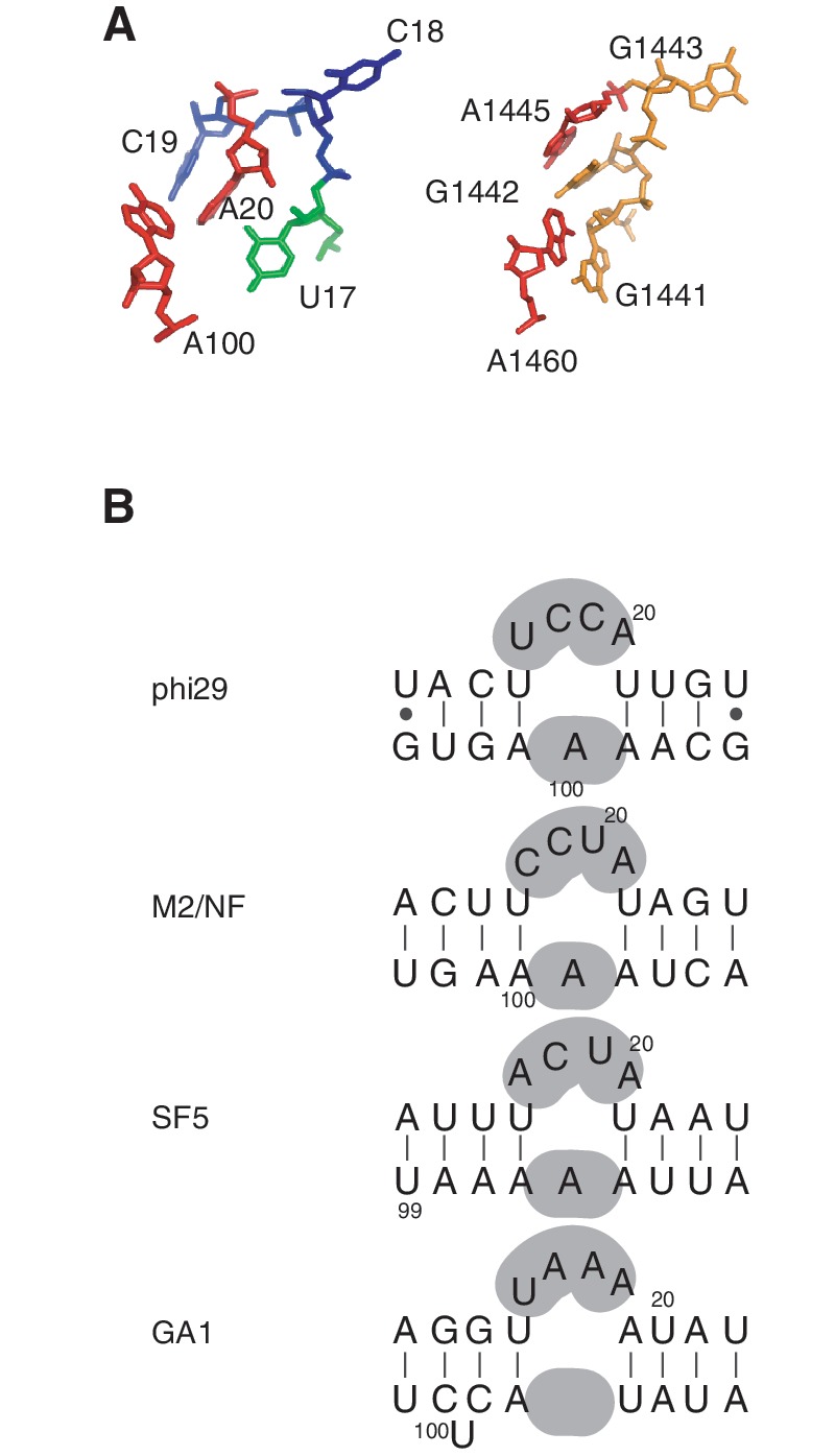 Figure 6.