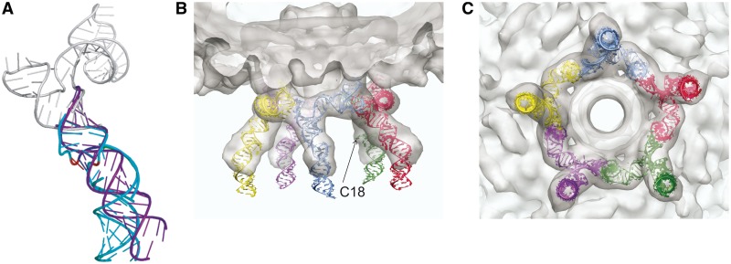 Figure 5.