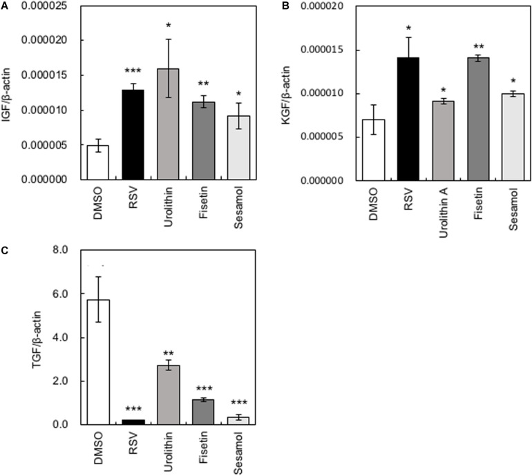 FIGURE 2