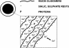 <b>Figure 2.</b>