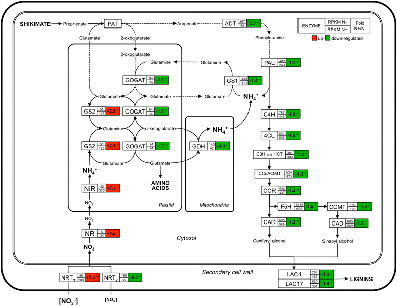 Figure 7
