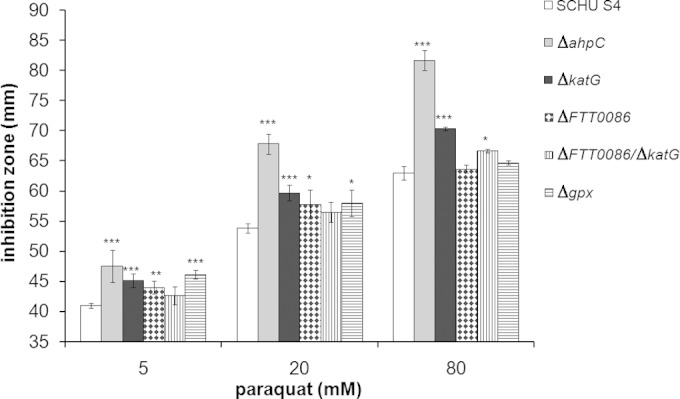 FIG 2