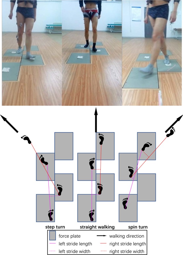 Fig. 1