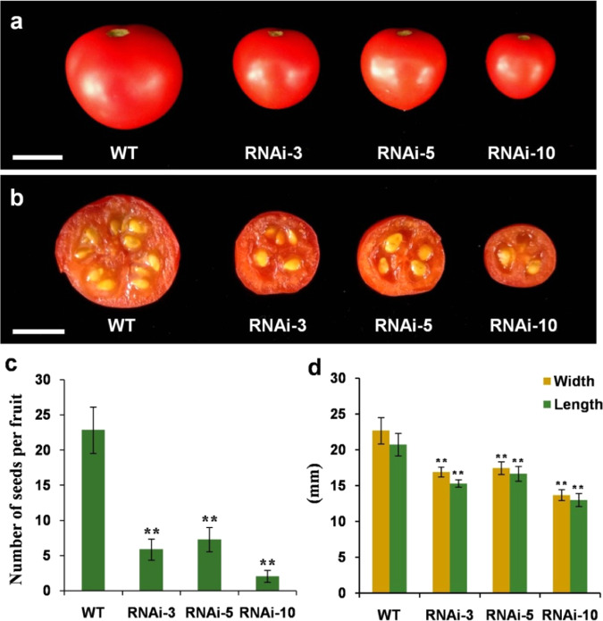 Fig. 6