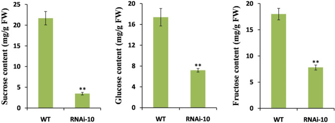 Fig. 9