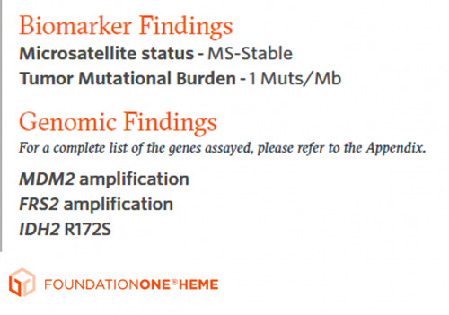 Figure 3. FoundationOne results