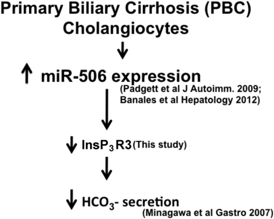 FIGURE 10.