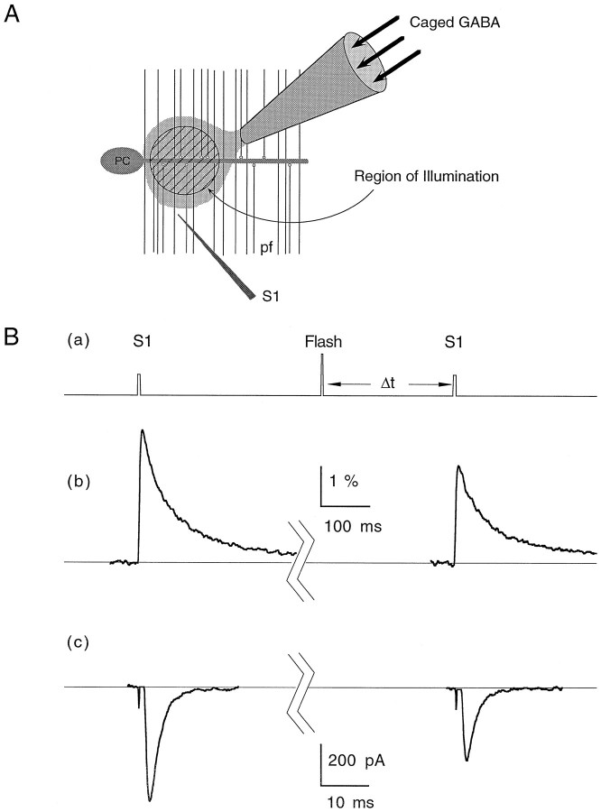 Fig. 9.