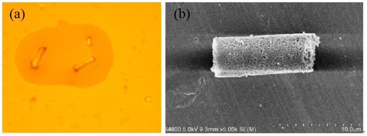 Figure 14