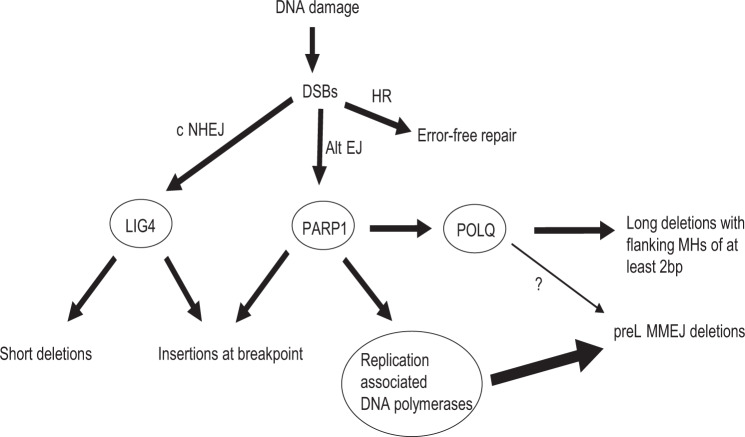 Fig. 8