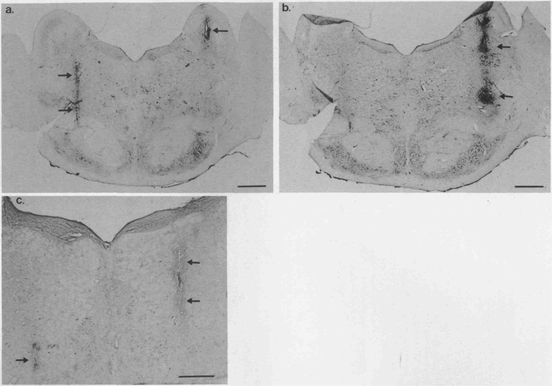 Fig. 7.