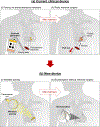 Extended Data Fig. 1 |