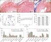 Fig. 7 |