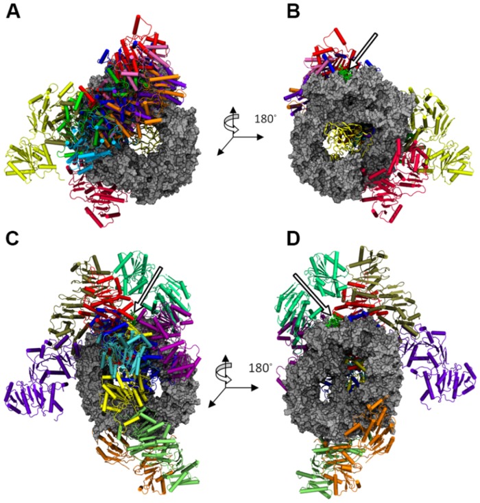 Fig 3