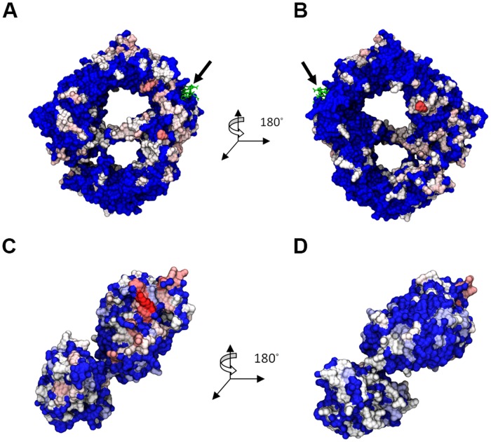 Fig 5