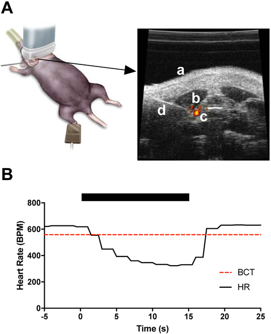 Figure 1: