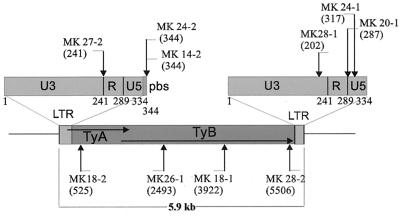 FIG. 3