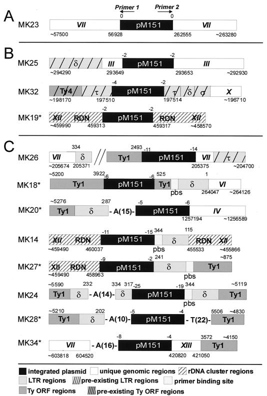 FIG. 1