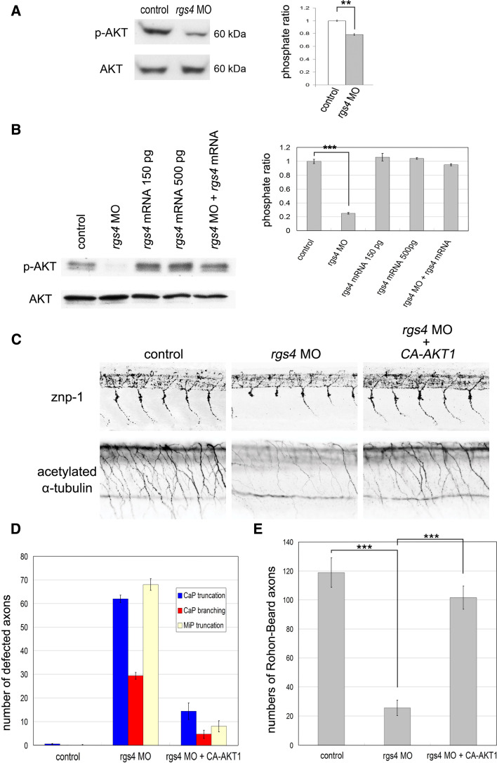 Fig. 6