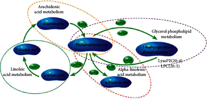 Figure 11