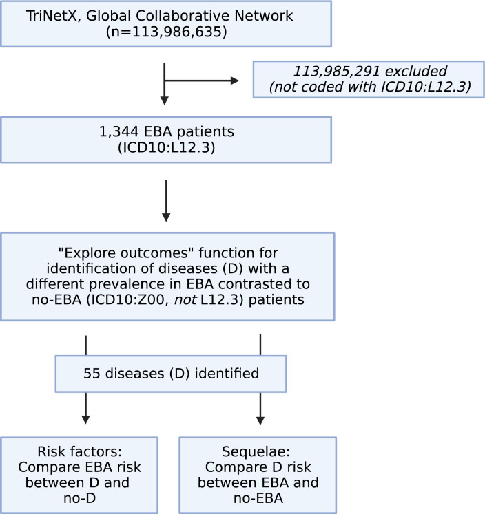 Figure 1