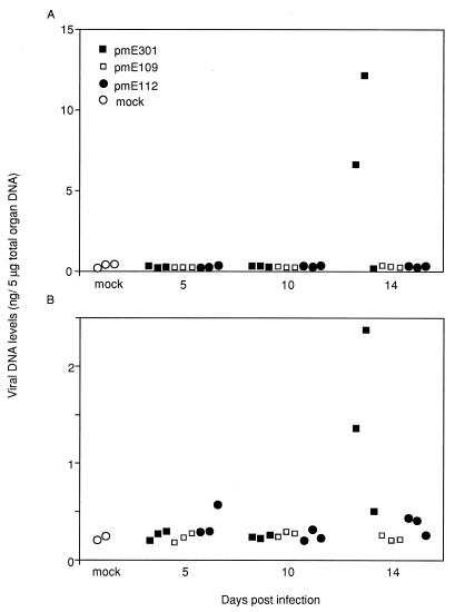 FIG. 1