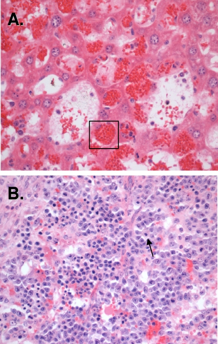 FIG. 5.