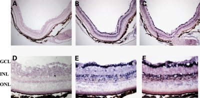 Figure 1.