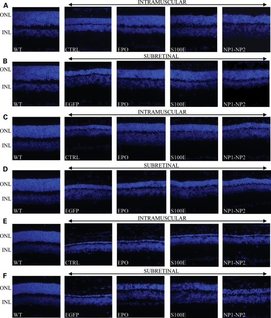 Figure 4.