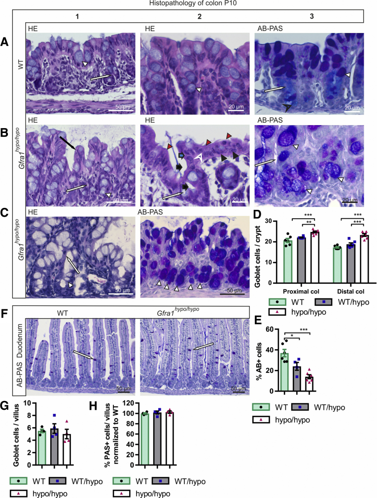 Figure 6