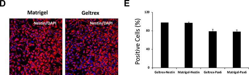 Figure 4: