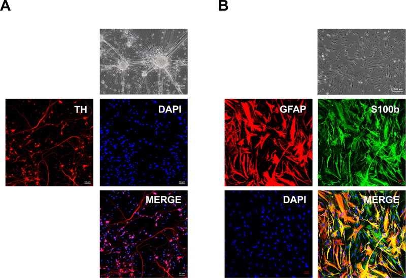 Figure 6: