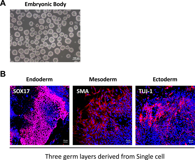 Figure 2: