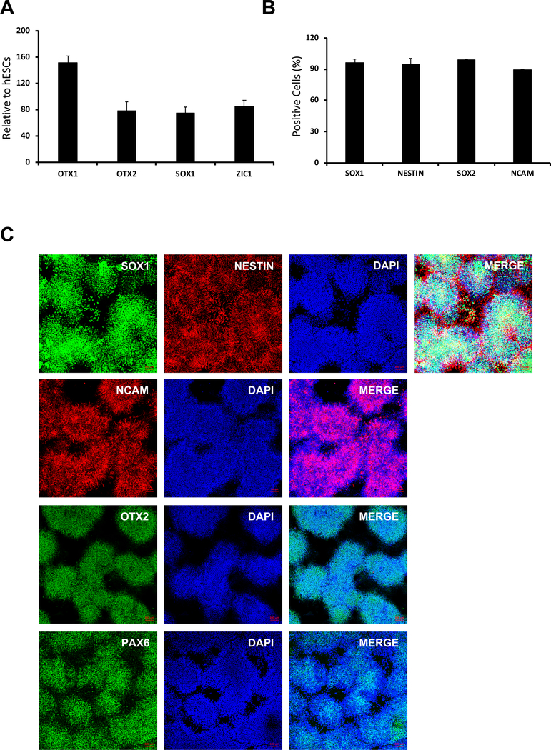 Figure 5: