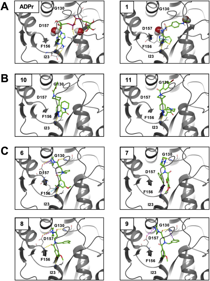 Fig. 8