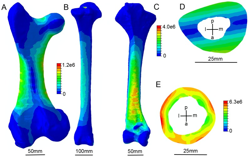 Figure 7