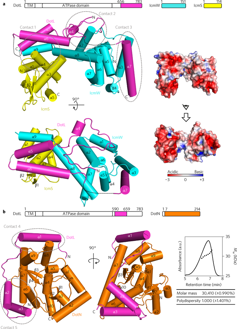 Figure 1 |