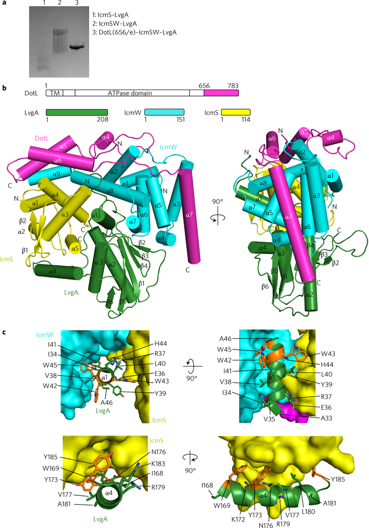 Figure 2 |