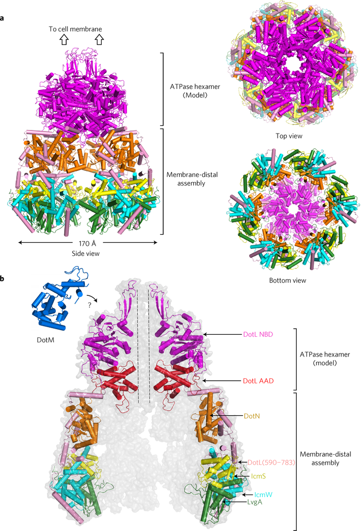 Figure 5 |