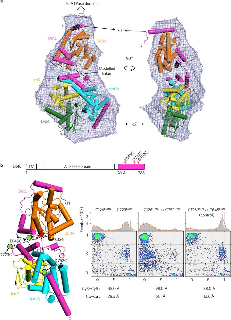 Figure 3 |