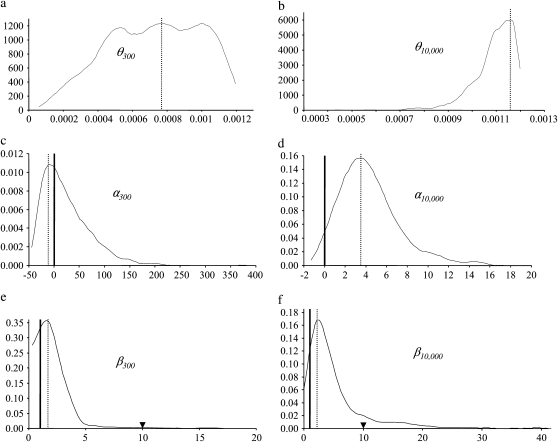 Figure 4.—