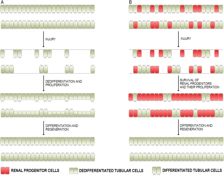 FIGURE 1: