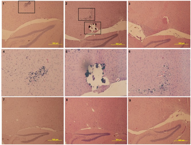 FIGURE 3