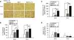 Figure 7