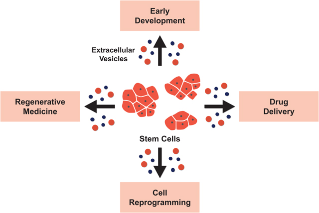 graphic file with name nihms-1575523-f0001.jpg